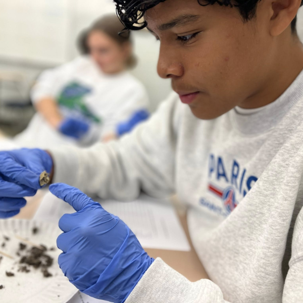 Student Dissecting